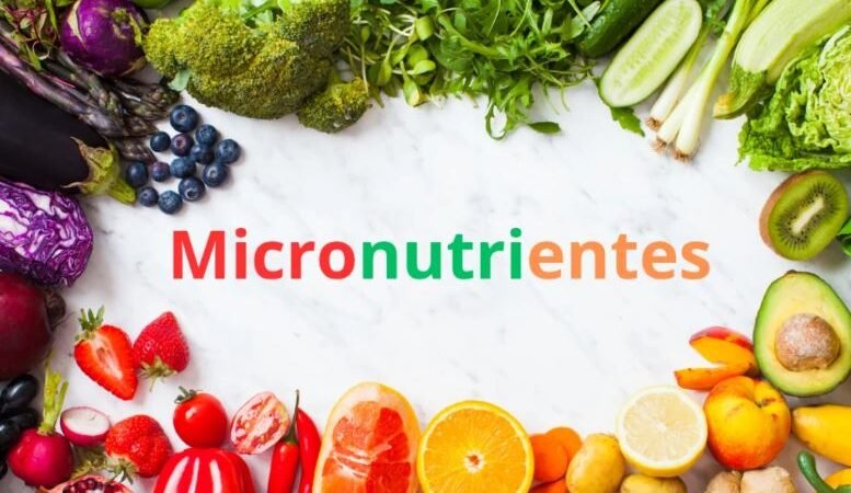 Micronutrientes: Pareciera que tienen poca importacia, pero en realidad hacen parte clave de nuestra salud.
