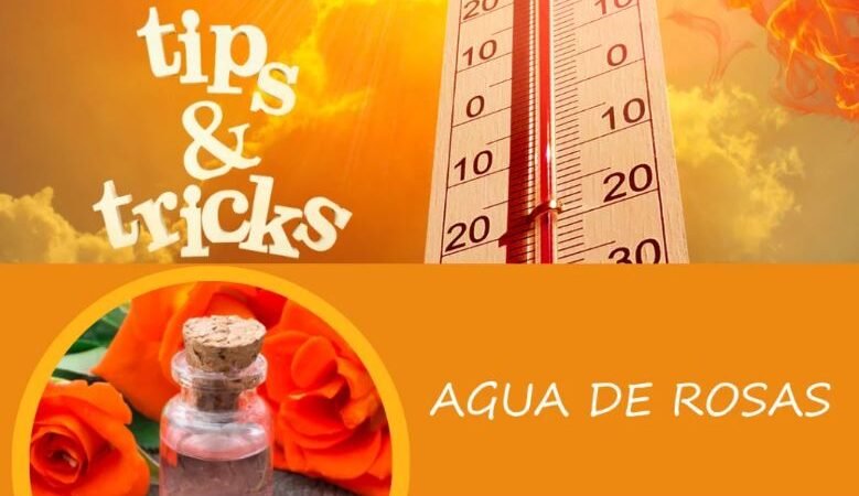 Tip de verano